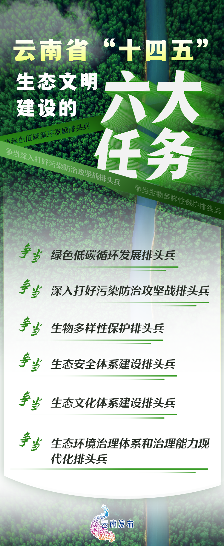 云南省的经济支持是什么_云南省2024年31534亿GDP，促进地方经济持续发展的关键举措_云南着力保持经济平稳健康发展