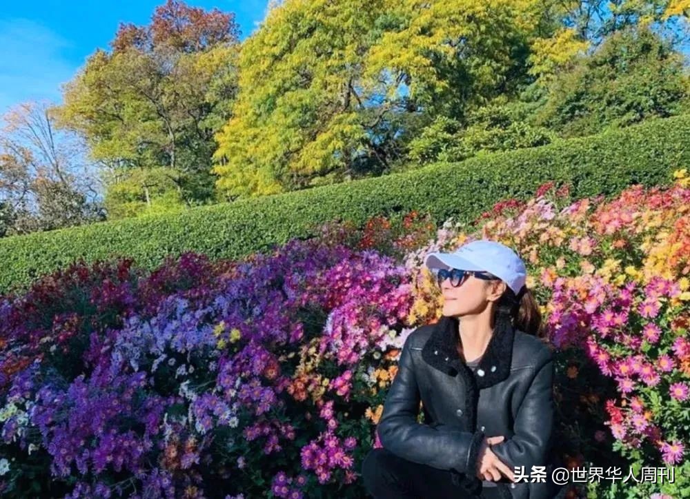 林青霞的情感故事与人生启发_林青霞的故事_林青霞的情感之路