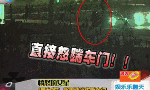 电影张雨绮经典爱情推荐_张雨绮的经典爱情电影推荐_张雨绮的电影