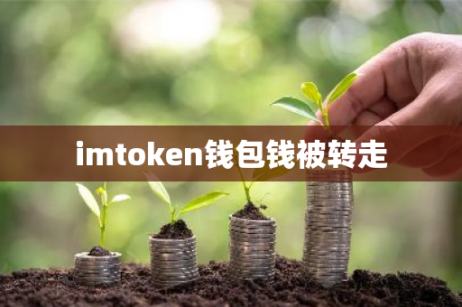 如何在token钱包网址中设置两步验证，进一步保障您的账户安全与资产保护。_壹钱包账户保护中_账户处于被盗保护中
