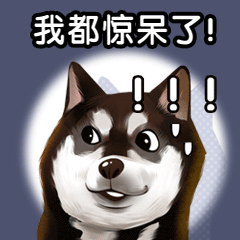 货币类策略_选择适合自己的数字货币投资策略_数字货币策略交易